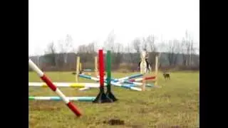 Тренировка