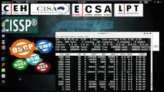 Offensive security Certified Professional (OSCP) - Penetration Testing with Kali Experience