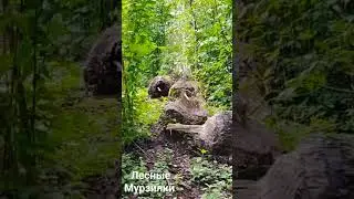 4 сентября 2023 г.