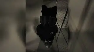 pnl - da (sped up)