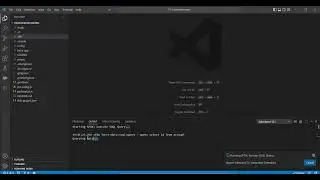 Execute SOQL Query in Visual Studio 