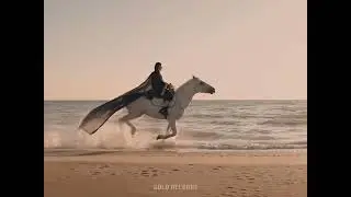 ТҰЛПАР