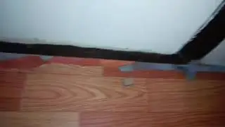 I'M STILL ALIVE!!! (Random Clip of the monster in my house)