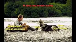 Белый Клык Book trailer