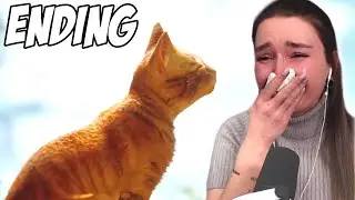 The Ending to Stray Broke My Heart ~ First Playthrough ~ Part 4