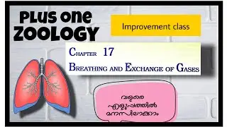 Breathing and exchange of gases Plus one Zoology Improvement class Malayalam explanation