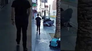Трэшь. Алея Звезд в Голливуде