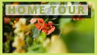Otherside of my House | Home Tour | Vegetables Gardening