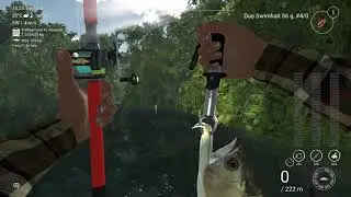 Fishing Planet   Amazonian Maze   Unique Silver Arowana