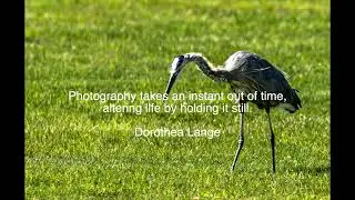 #photography #inspiration #motivation #photographylovers