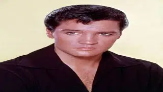 Elvis Presley Don't Ask Me Why Cover Version
