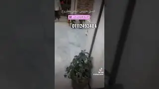 فندق عروس البحر مرسى مطروح