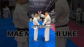 MAE MAWASHI UKE. 
