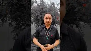 यदि किस्मत ढीली चल रही है, कोई भी उपाय - पाठ पूजा या दान काम नहीं कर रहा तो तुरंत करें यह