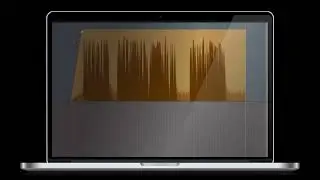 L2_Narrator Spanish Introducción