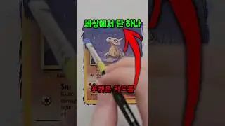 돈으로도 살 수 없는 세상에서 단 하나뿐인 포켓몬 카드