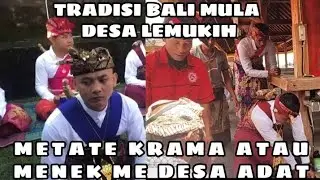 METATE KRAMA ATAU MENEK MEDESA, TRADISI BALI MULA, DESA LEMUKIH