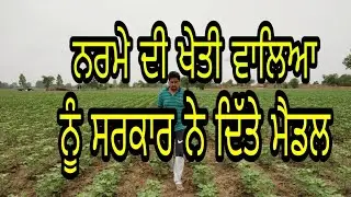 ਸਰਕਾਰ ਕਹਿੰਦੀ 20 ਜੂਨ ਤੋਂ ਪਹਿਲਾਂ ਝੋਨਾ ਨੀ ਲਾਉਣਾ ਜਿਹੜੇ ਨਰਮਾ ਬੀਜਦੇ ਆ ਓਹਨਾ ਦੇ ਕੇਹੜਾ ਮੈਡਲ ਪਾ ਤੇ