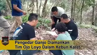Pengedar Ganjo Diamankan Tim Ojo Loyo di Dalam Kebun Karet