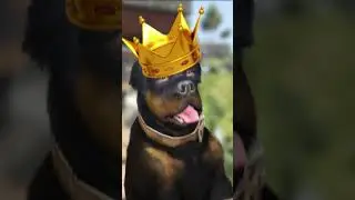 🤣Chop's Soul Is Out of His Body in GTA 5