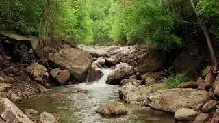 Take a break, because you deserve it. n, relaxing. An exercise in mindfulness for all ages.