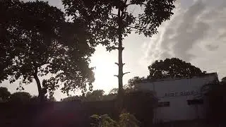 Forest Park Caloocan 2022