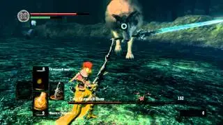 Sif, the Great Grey Wolf - Dark Souls: Prepare to Die Edition (PC)