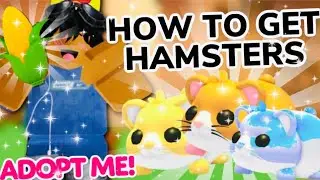How to get *NEW HAMSTER PETS* in ADOPT ME ROBLOX