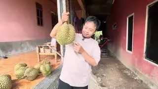 Petik Manggis Dan Durian Langsug Dipohonnya