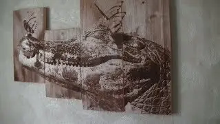 How to burn a laser engraver photo in a human growth