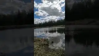 Озеро в лесу 🤩