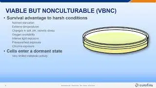 Microbial stress, growth, and rapid testing – implications for food samples and systems