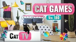 CAT Games | Ultimate Cat TV Compilation Vol 180 | 8 HOURS  🐝🐞🦋🦎🦜🐜🐭🧵