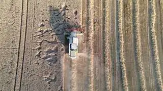 moisson de blé 2024 prt2