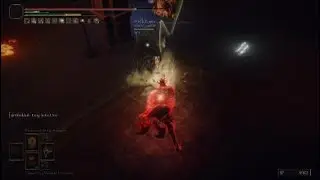This Elden Ring build brings death to those who run into!