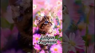 #доброеутро
