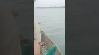 K.T bander fishing  #shorts #videos #2024