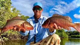 Topwater Jacks - Bust Ups, Tips, Tricks and a Surprise in the Weather!