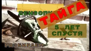Бензопила Тайга 5 лет спустя. Разбор.