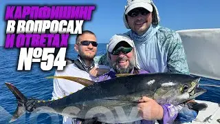 Carp Fishing: Questions and Answers #54, Kolesnikov A.