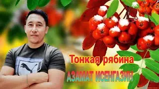 Азамат Исенгазин - 