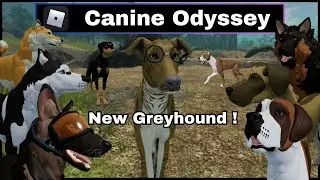 Canine Odyssey - New Greyhound + Easter event! Roblox Dog RP Game Update