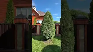 Продолжаем стрижки - результат в конце!
