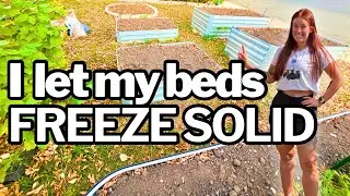 Why I Stop Protecting My Soil Before Winter (And You Might Want To Too) 
