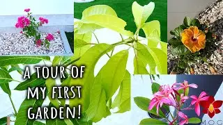 Tour of my first garden! - Work in progress, suggestions welcomed! 🌳🍃🌺