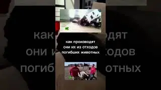 Вся правда о составе промышленного корма