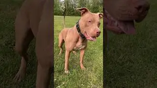 Лучше не злить Джину!
