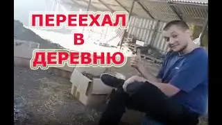 Пожалел ли он?