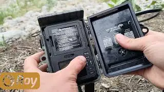 fotopasce Wachman solar