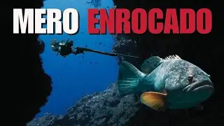 Así Pescamos Estos Peces Gigantes Con Arpón - Pesca Submarina